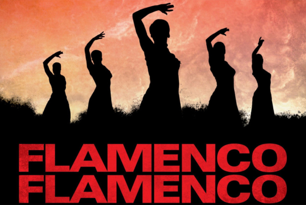 Flamenco flamenco