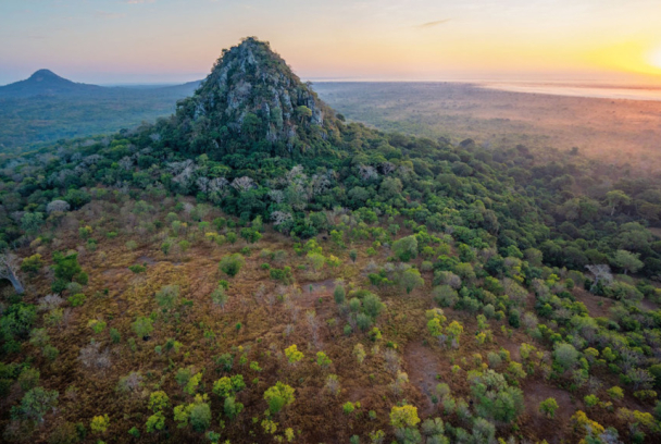 Gorongosa: Paraíso renacido