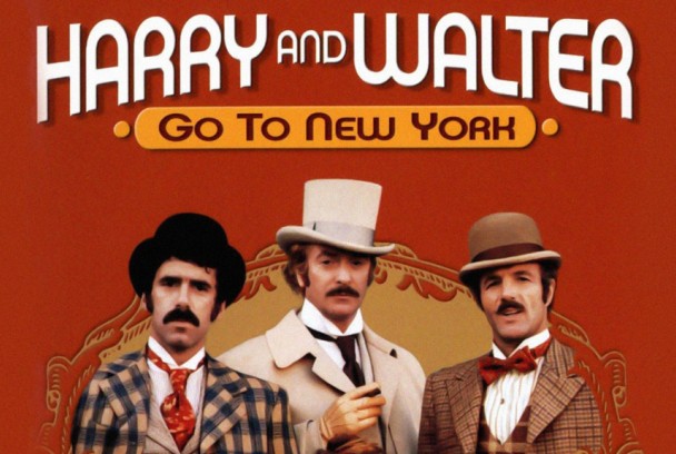 Harry y Walter van a Nueva York