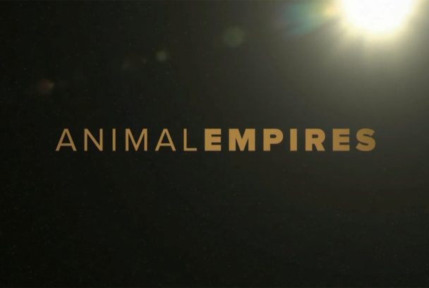 Imperios del reino animal