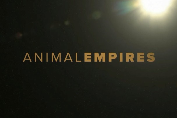 Imperios del reino animal