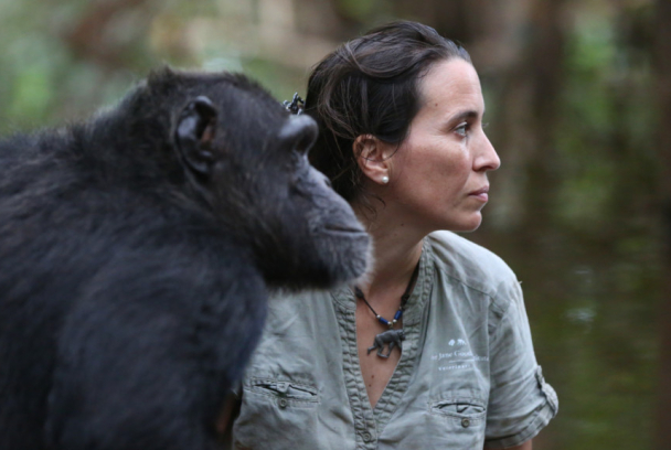 Jane Goodall: la esperanza de los chimpancés