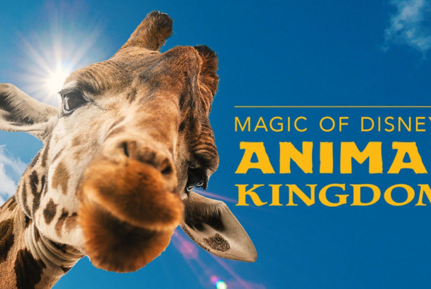 La Magia de Animal Kingdom de Disney