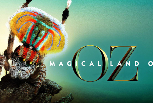 La mágica tierra de Oz
