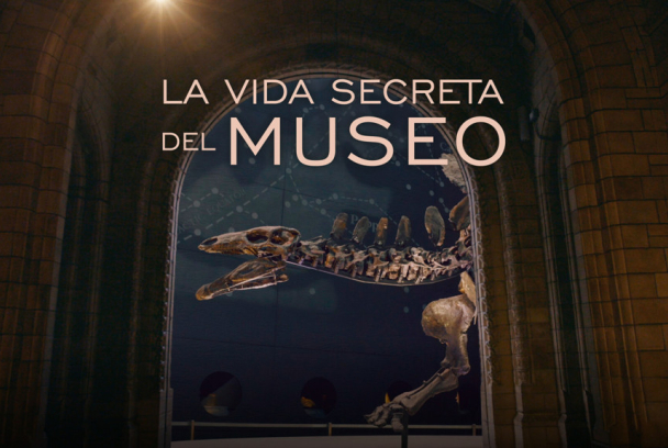 La vida secreta del museo
