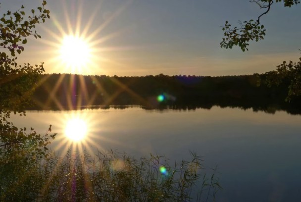 La fauna y la flora de los lagos secretos