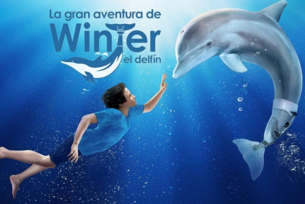 La gran aventura de Winter el delfín