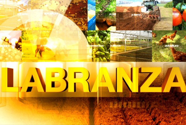 Labranza