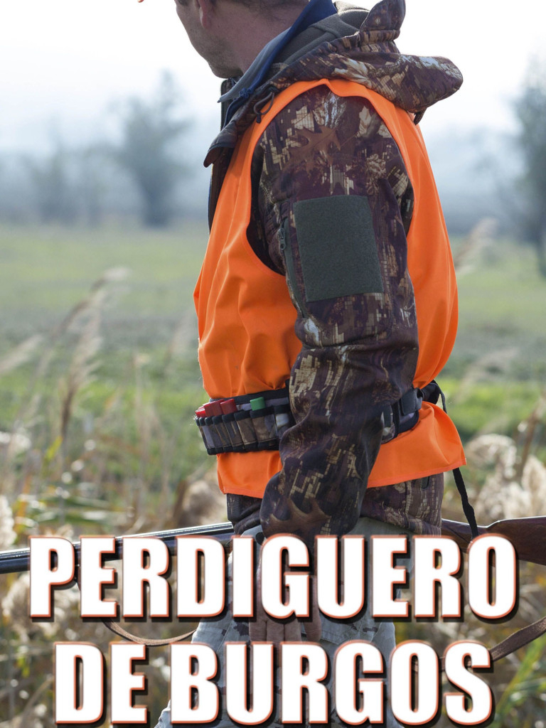 Póster de Lances de caza · El perdiguero de Burgos