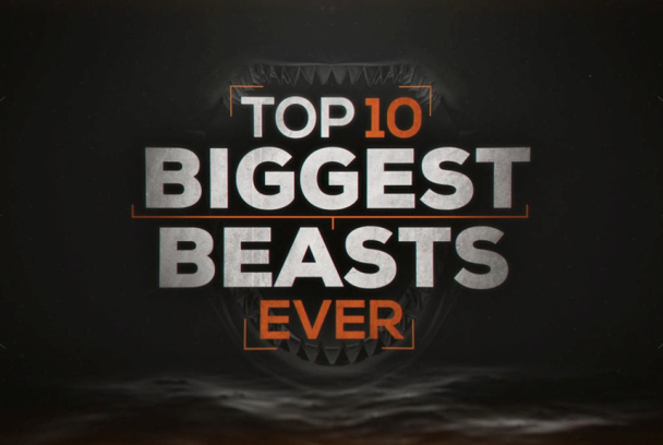 Las diez bestias más grandes del mundo