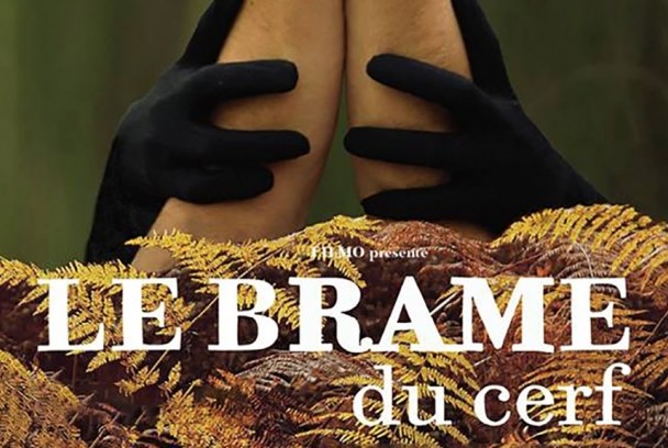 Le brame du cerf