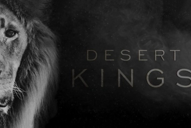 Leones del Kalahari: los reyes del desierto