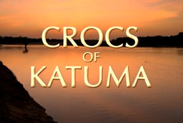 Los cocodrilos de Katuma
