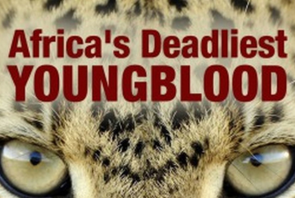 Los más peligrosos de África: sangre joven