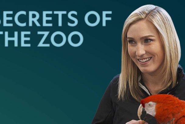 Los secretos del zoo
