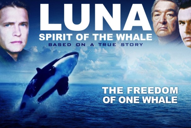 Luna: Espíritu de una ballena