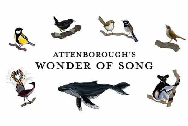 Maravillas sonoras con David Attenborough