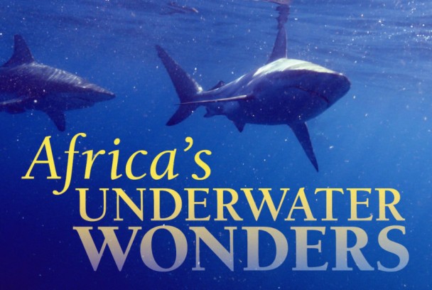 Maravillas Submarinas de Africa