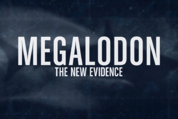 Megalodón: la nueva evidencia