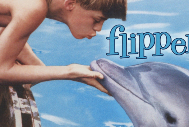 Mi amigo Flipper