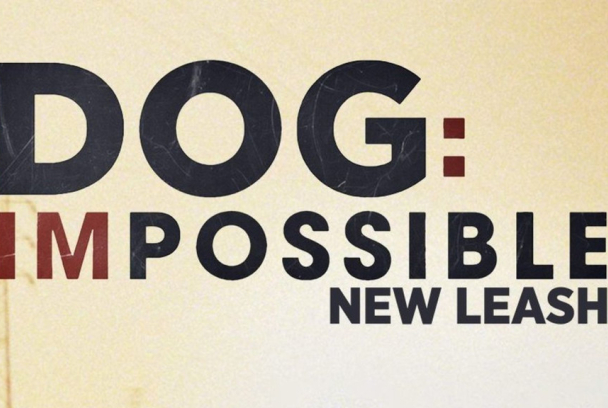 Misión canina: nuevos retos