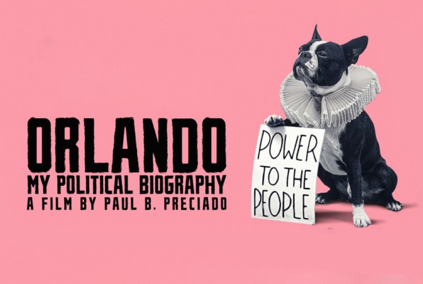 Orlando, mi biografía política
