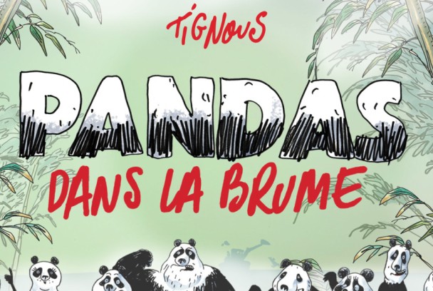 Pandas dans la brume