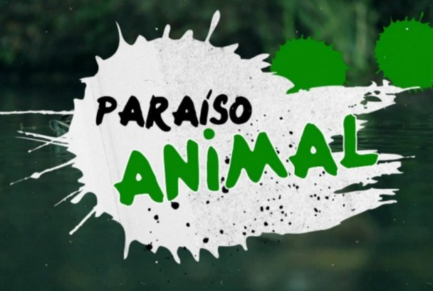 Paraíso animal