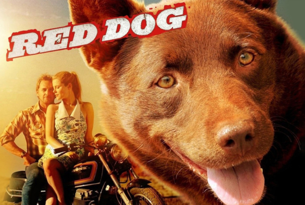 Red Dog