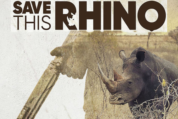 Salvar al rinoceronte