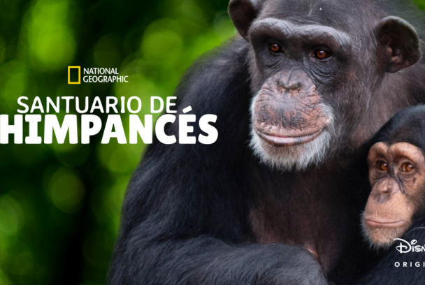 Santuario de chimpancés