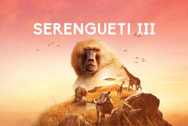 Serengueti