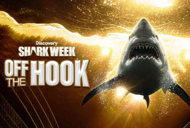 Shark week: fuera de juego