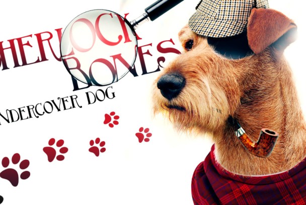 Sherlock: el perro detective