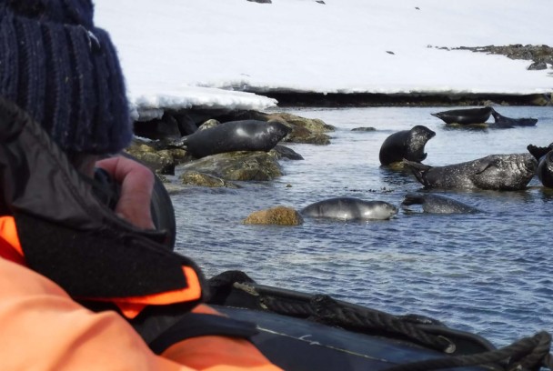 Spitsbergen, o Gardián do Ártico