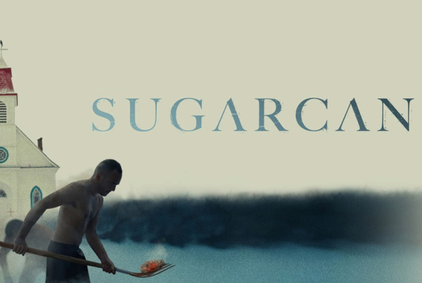 Sugarcane