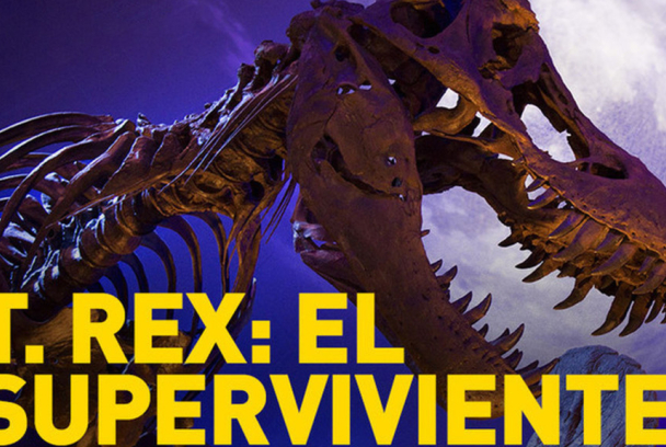 T. Rex: el superviviente