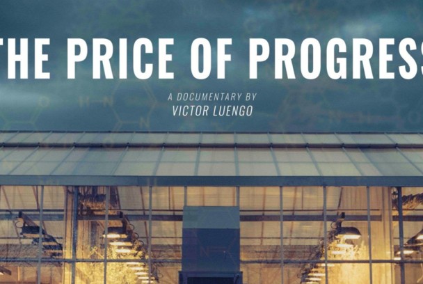 The Price of Progress