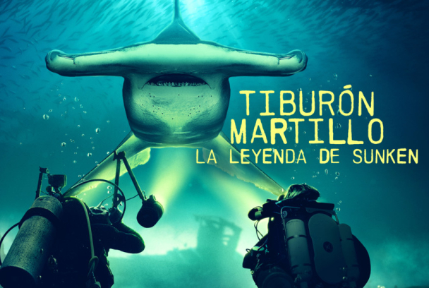 Tiburón martillo: la leyenda de Sunken