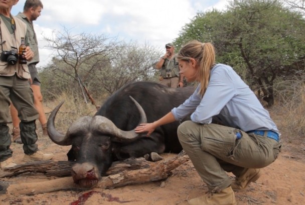 Turisme de safari: pagar per matar