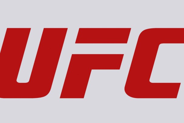 UFC Fight Night: Holm vs.Vieira