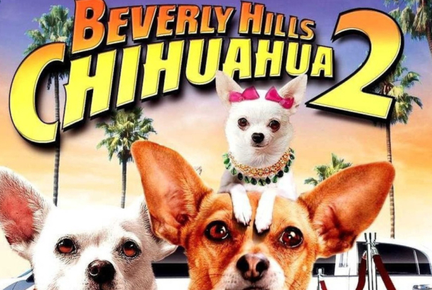 Un chihuahua en Beverly Hills 2