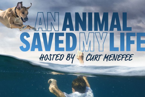 Un animal salvó mi vida