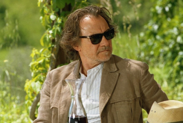 Maurizio Calvesi SincroGuia TV