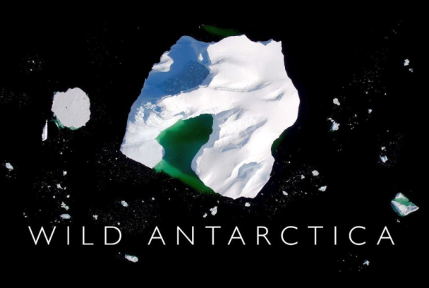 Wild Antártida