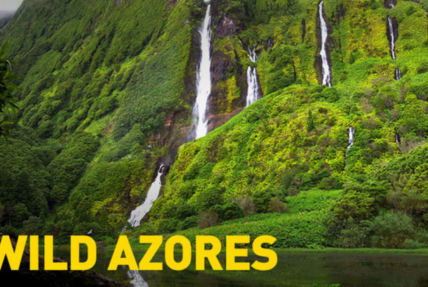 Wild Azores
