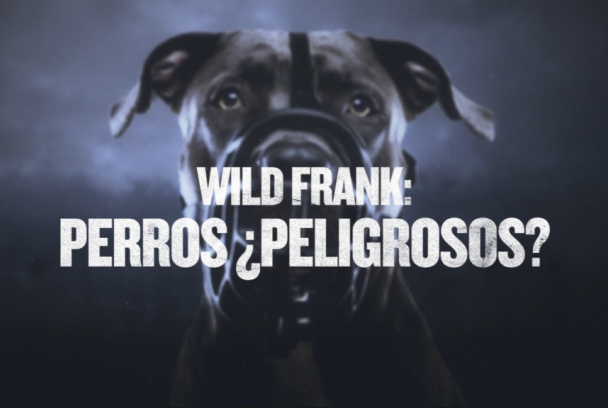 Wild Frank ¿Perros Peligrosos?