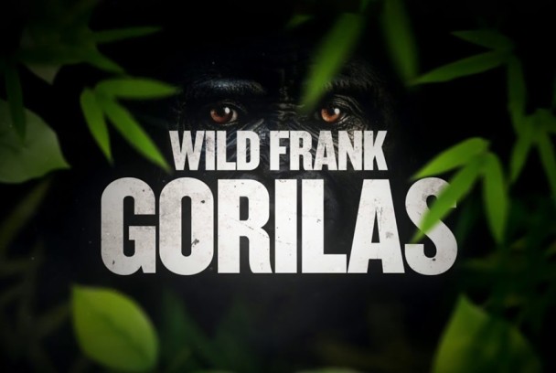 Wild Frank Gorilas