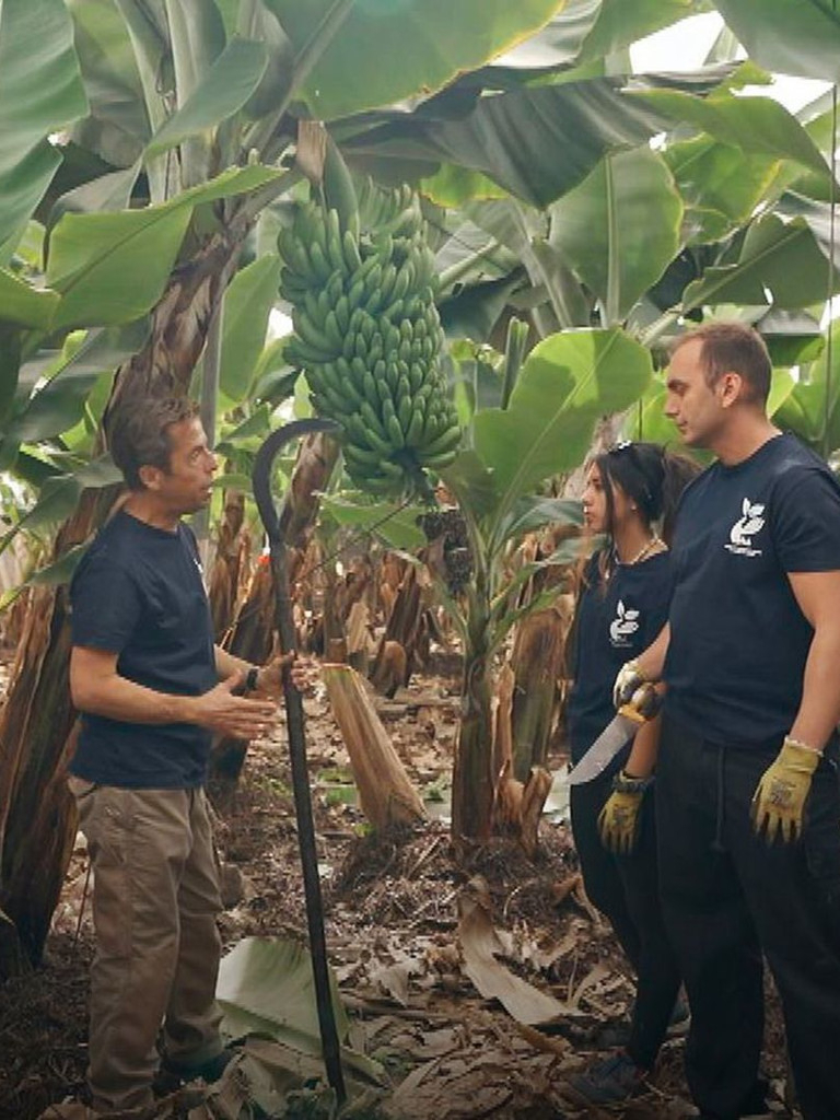 Carátula de Yo soy de formación profesional