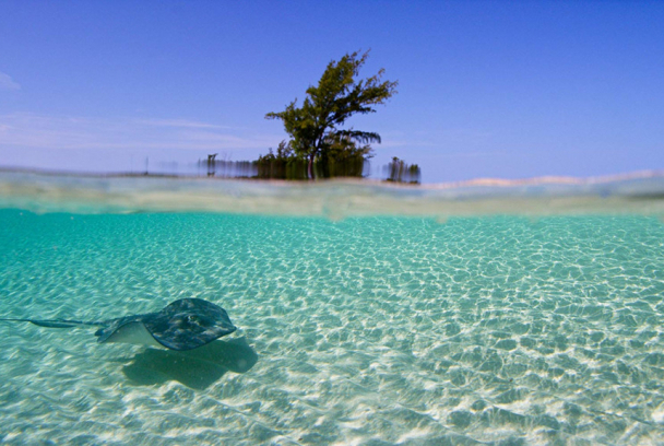 Bahamas azules